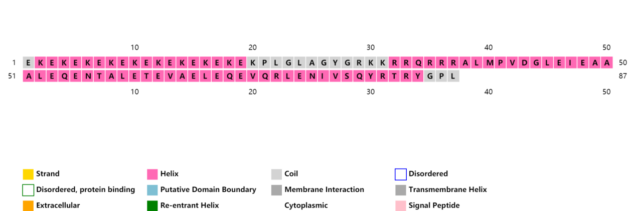 Figure 2. Secondary structure prediction of “shell” polypeptide